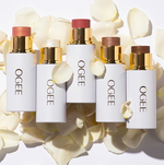 Charger l'image dans la galerie, Kit de Contouring - Ogee©