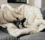 Charger l'image dans la galerie, Couverture pour chien (Blanc) - PupProtector™