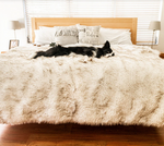 Charger l'image dans la galerie, Couverture pour chien (Blanc) - PupProtector™