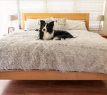 Charger l'image dans la galerie, Couverture pour chien (Gris) - PupProtector™