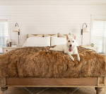 Charger l'image dans la galerie, Couverture pour chien (Marron) - PupProtector™