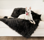Charger l'image dans la galerie, Couverture pour chien (Noir) - PupProtector™