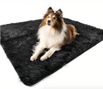 Charger l'image dans la galerie, Couverture pour chien (Noir) - PupProtector™