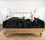 Charger l'image dans la galerie, Couverture pour chien (Noir) - PupProtector™