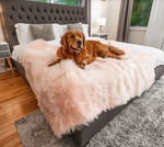 Charger l'image dans la galerie, Couverture pour chien (Rose) - PupProtector™