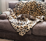 Charger l'image dans la galerie, Couverture pour chien (Léopard) - PupProtector™