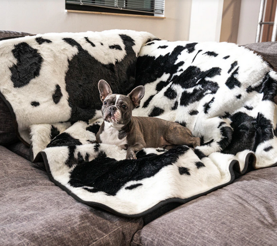Couverture pour chien (Dalmatien) - PupProtector™