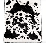 Charger l&#39;image dans la galerie, Couverture pour chien (Dalmatien) - PupProtector™
