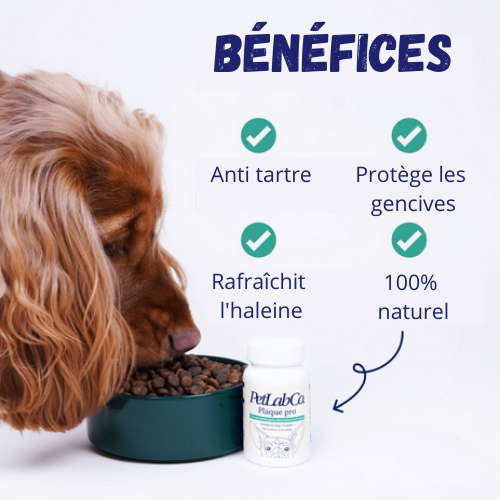 Produit canin pour dent - ThePetLab