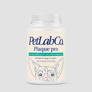 Poudre Plaque Pro pour chiens - PetLabCo
